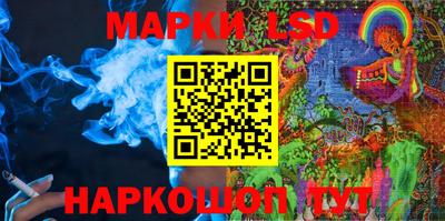 дмт Новокубанск