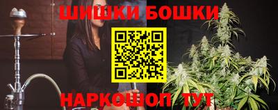 дмт Новокубанск