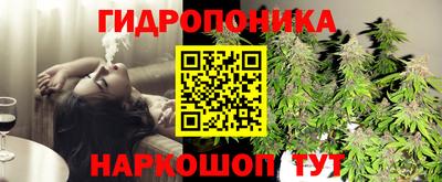 дмт Новокубанск