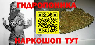 mdpv Новозыбков