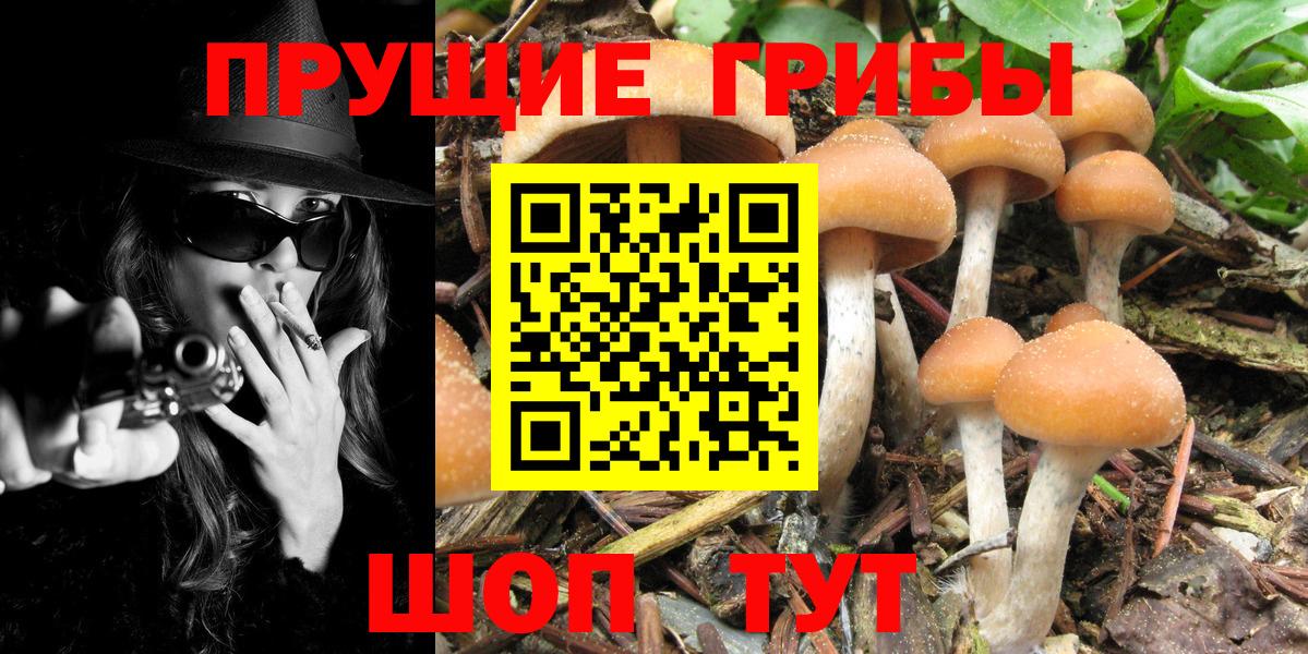 Галлюциногенные грибы ЛСД  Галлюциногенные грибы ЛСД  Вход с VPN  Пугачёв 