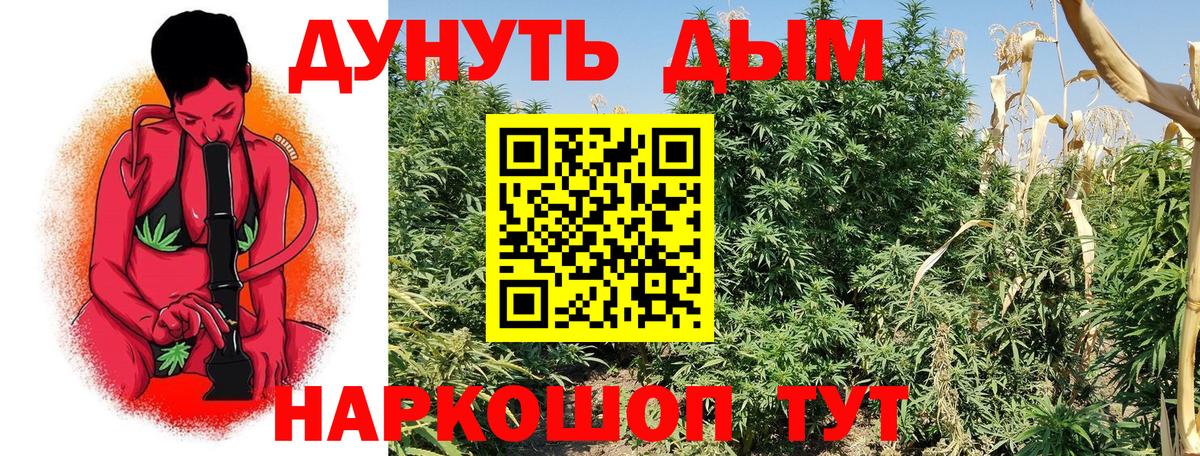 Бошки Шишки OG Kush  Вход с VPN  Пугачёв  Каннабис планчик 